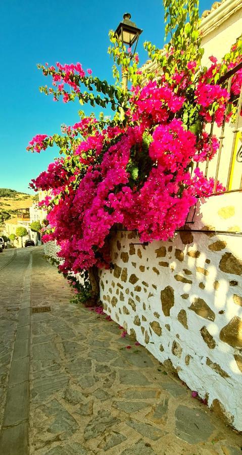 Preciosa Casa De Pueblo Entre Ronda Y Setenil La Posada De Catalina مونتيهمورتو المظهر الخارجي الصورة