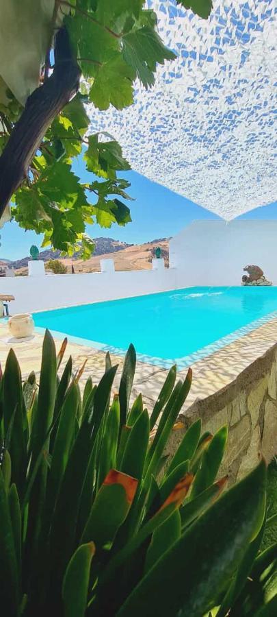 Preciosa Casa De Pueblo Entre Ronda Y Setenil La Posada De Catalina مونتيهمورتو المظهر الخارجي الصورة